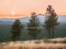 Bessies-Butte-Sunset