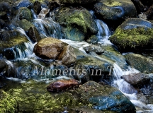 On-The-Rocks