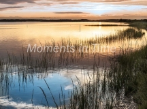 Shelly-Bay-Sunset
