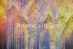 -Enchantment