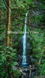 1_Marymere-1-Copy