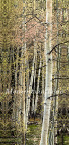 Aspen-Nook-v