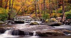 Autumn Peace Panorama