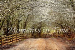 Timeless_panorama