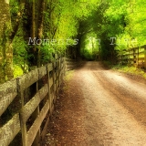 Coming-Home-Square