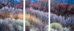 Natures-Palette-TT-1-Copy