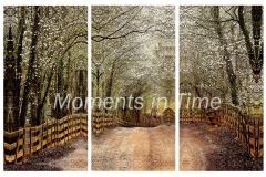 Timeless-triptych