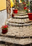 Cobblestone_Pathway