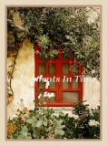 Mission_Window