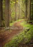 Quiet walk