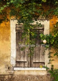 The-Rose