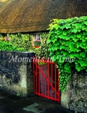 Red Gate