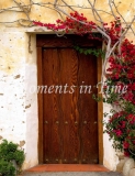 Mission_Door